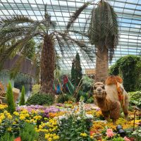 Rundreise Neuseeland // Flower Dome in Singapur