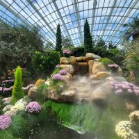 Rundreise Neuseeland // Flower Dome in Singapur