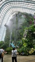 Rundreise Neuseeland // Cloud Forest in Singapur