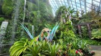 Rundreise Neuseeland // Cloud Forest in Singapur