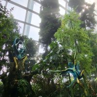 Rundreise Neuseeland // Cloud Forest in Singapur
