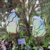 Rundreise Neuseeland // Cloud Forest in Singapur