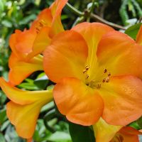 Rundreise Neuseeland // Cloud Forest in Singapur