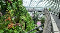 Rundreise Neuseeland // Cloud Forest in Singapur