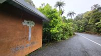 Rundreise Neuseeland // Besuch im Kauri-Wald bei Tane Mahuta
