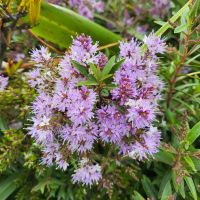 Rundreise Neuseeland // unterwegs