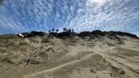 Rundreise Neuseeland // Ausflug zum Cape Reinga - 90Mile Beach