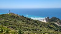 Rundreise Neuseeland // Ausflug zum Cape Reinga mit Te Aroha (Spirit Tree)