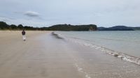 Rundreise Neuseeland // Cooks Beach auf der Coromandel-Halbinsel