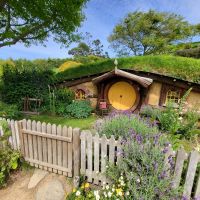 Rundreise Neuseeland // Besuch von Hobbiton