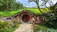 Rundreise Neuseeland // Besuch von Hobbiton