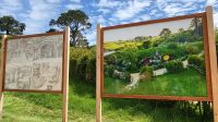 Rundreise Neuseeland // Besuch von Hobbiton