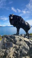 Rundreise Neuseeland // Skulptur des Himalaya-Tahr am Lake Pukaiki