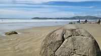 Rundreise Neuseeland // geheimnisvolle Moeraki Boulders