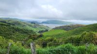 Rundreise Neuseeland // Fahrt über die Otago-Halbinsel