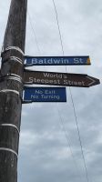 Rundreise Neuseeland // Stopp an der Baldwin Street - DIE steilste Straße der Welt