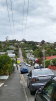 Rundreise Neuseeland // Stopp an der Baldwin Street - DIE steilste Straße der Welt