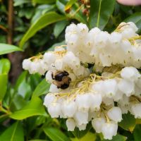 Rundreise Neuseeland // Begegnungen an der Baldwin Street