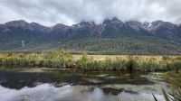 Rundreise Neuseeland // Mirror Lakes im Fiordland Nationalpark