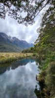 Rundreise Neuseeland // Mirror Lakes im Fiordland Nationalpark