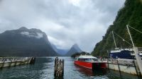 Rundreise Neuseeland // Milford Sound