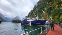 Rundreise Neuseeland // MS Milford Mariner