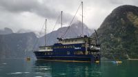 Rundreise Neuseeland // Milford Mariner in der Harrison Bucht im Milford Sound