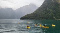 Rundreise Neuseeland // Kanutour im Milford Sound