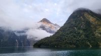 Rundreise Neuseeland // Guten Morgen im Milford Sound