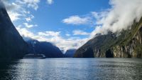 Rundreise Neuseeland // Kreuzfahrt im Milford Sound