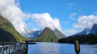 Rundreise Neuseeland // Milford Sound