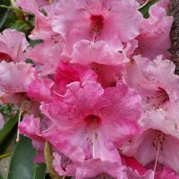 Rundreise Neuseeland //  Te Anau am Fiordland Nationalpark