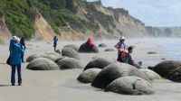 Rundreise Neuseeland // geheimnisvolle Moeraki Boulders