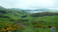 Rundreise Neuseeland // Fahrt über die Otago-Halbinsel