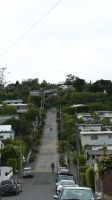 Rundreise Neuseeland // Stopp an der Baldwin Street - DIE steilste Straße der Welt