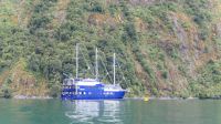 Rundreise Neuseeland // Milford Mariner in der Harrison Bucht im Milford Sound