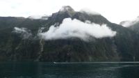 Rundreise Neuseeland // Kreuzfahrt im Milford Sound