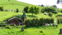 Rundreise Neuseeland // Besuch von Hobbiton