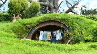 Rundreise Neuseeland // Besuch von Hobbiton