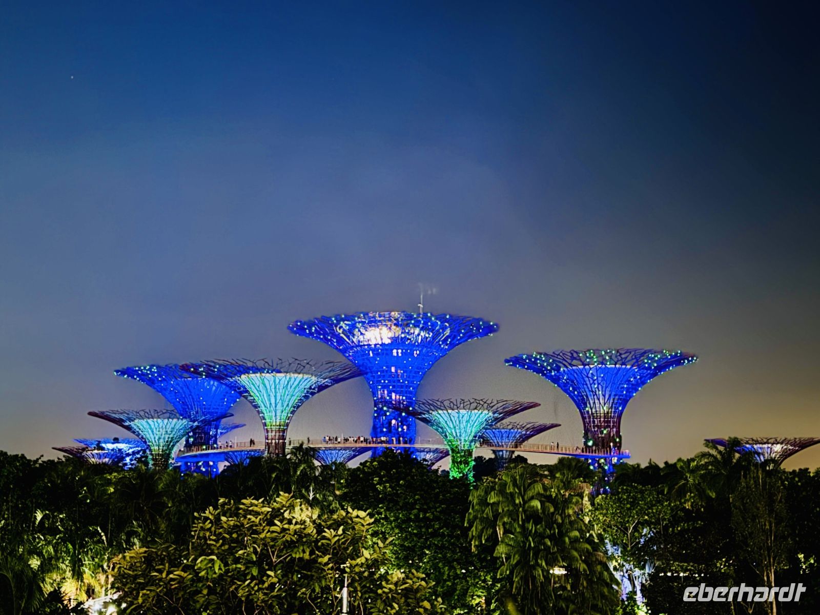 Tag 2 - Gardens by the Bay, Lichtershow