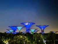 Tag 2 - Gardens by the Bay, Lichtershow