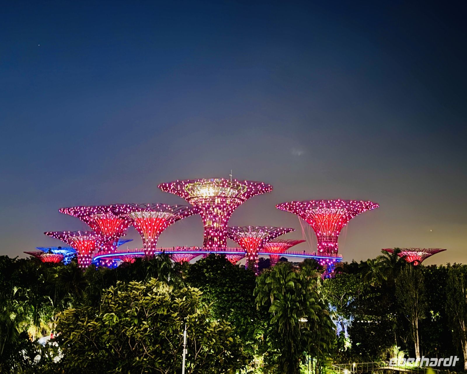 Tag 2 - Gardens by the Bay, Lichtershow