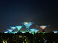 Tag 2 - Gardens by the Bay, Lichtershow