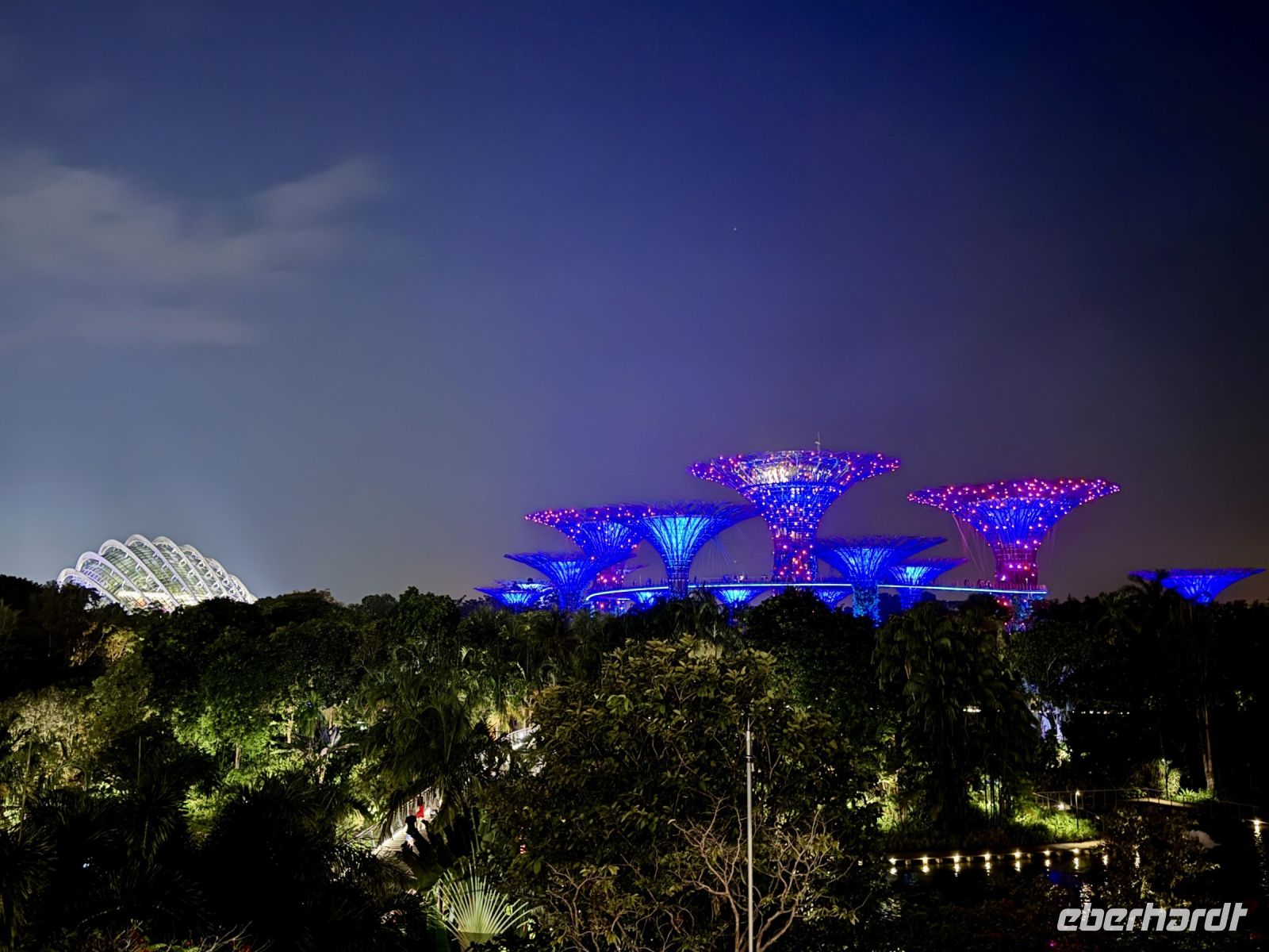 Tag 2 - Gardens by the Bay, Lichtershow