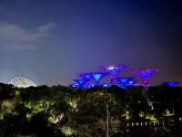 Tag 2 - Gardens by the Bay, Lichtershow