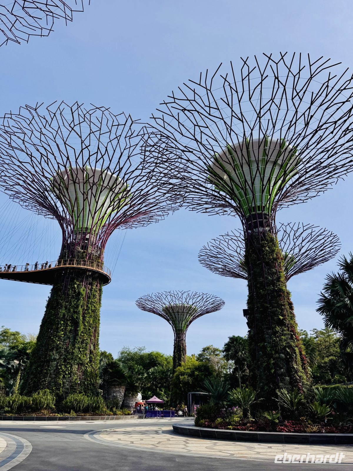 Tag 3 - Gardens by the Bay, Supertrees