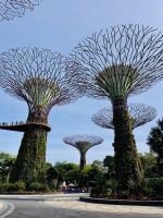 Tag 3 - Gardens by the Bay, Supertrees