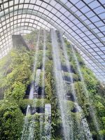 Tag 3 - Gardens by the Bay, Cloud Forest