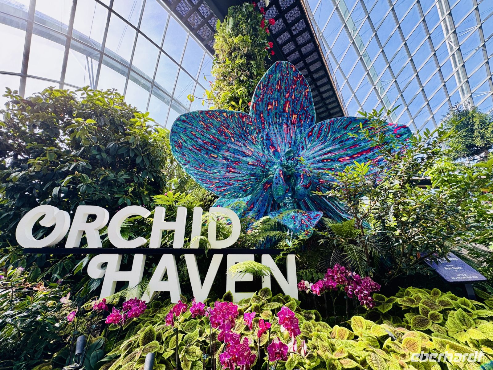 Tag 3 - Gardens by the Bay, Cloud Forest