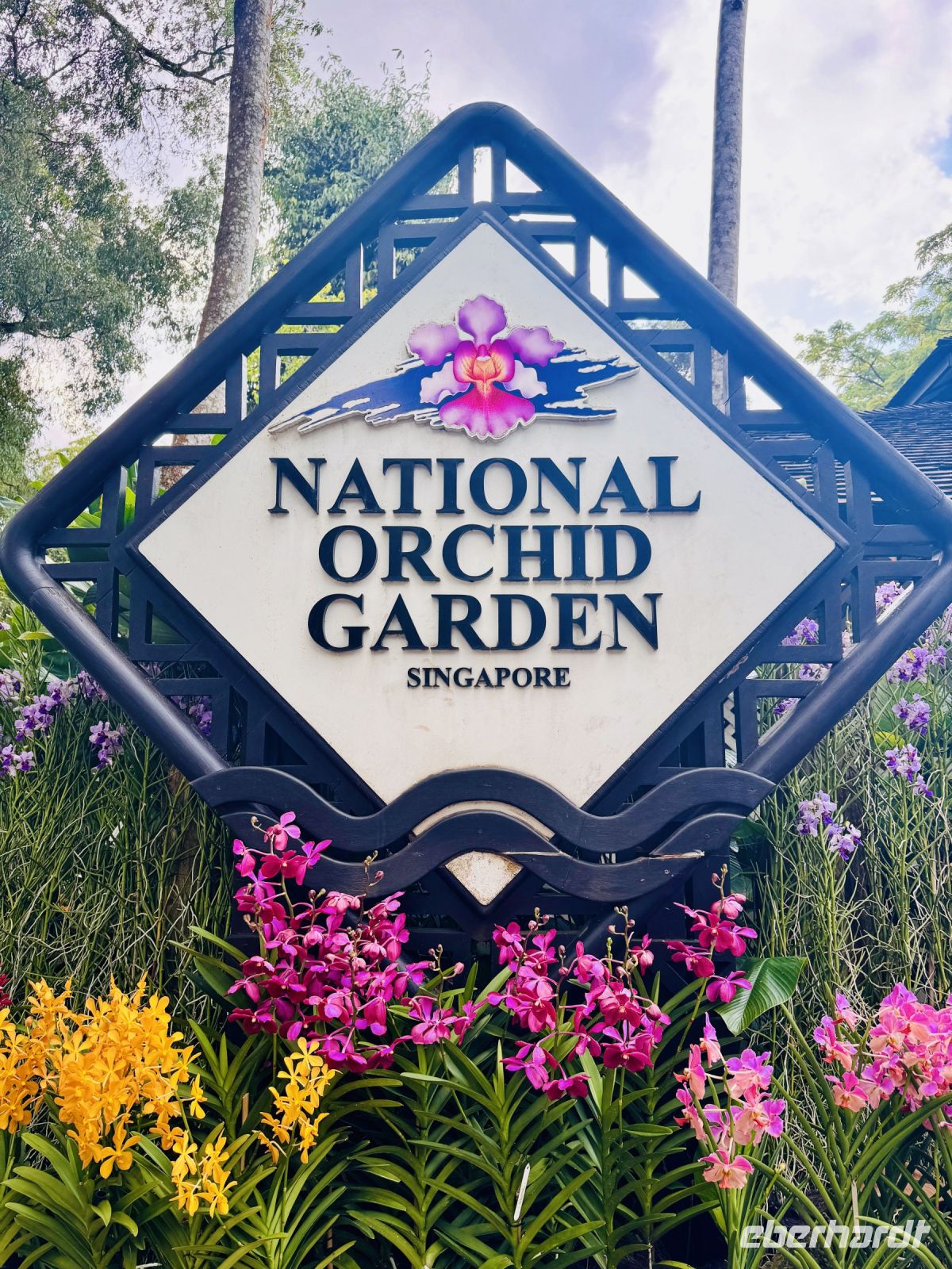 Tag 3 - Orchideen-Garten, Singapur 